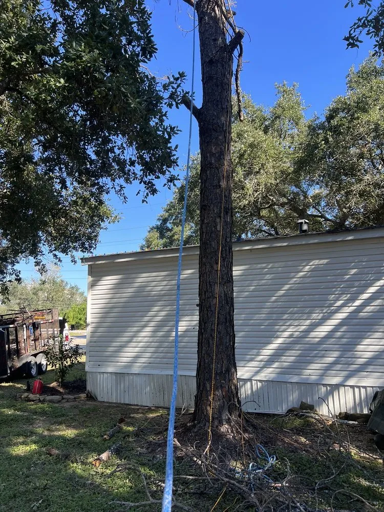 Trusted yard maintenance experts serving Pearland, TX - LLD Landscape & Lawn Designs Of Pearland