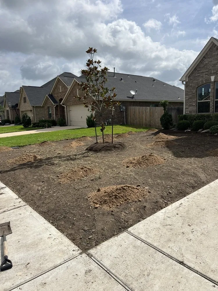 Professional lawn mowing service in Pearland, TX - LLD Landscape & Lawn Designs Of Pearland