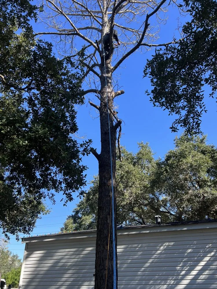 Reliable landscape installation experts serving Pearland, TX - LLD Landscape & Lawn Designs Of Pearland