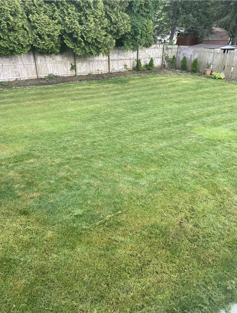 Expert lawn care service experts serving Jefferson, GA - LLG Lawn Care