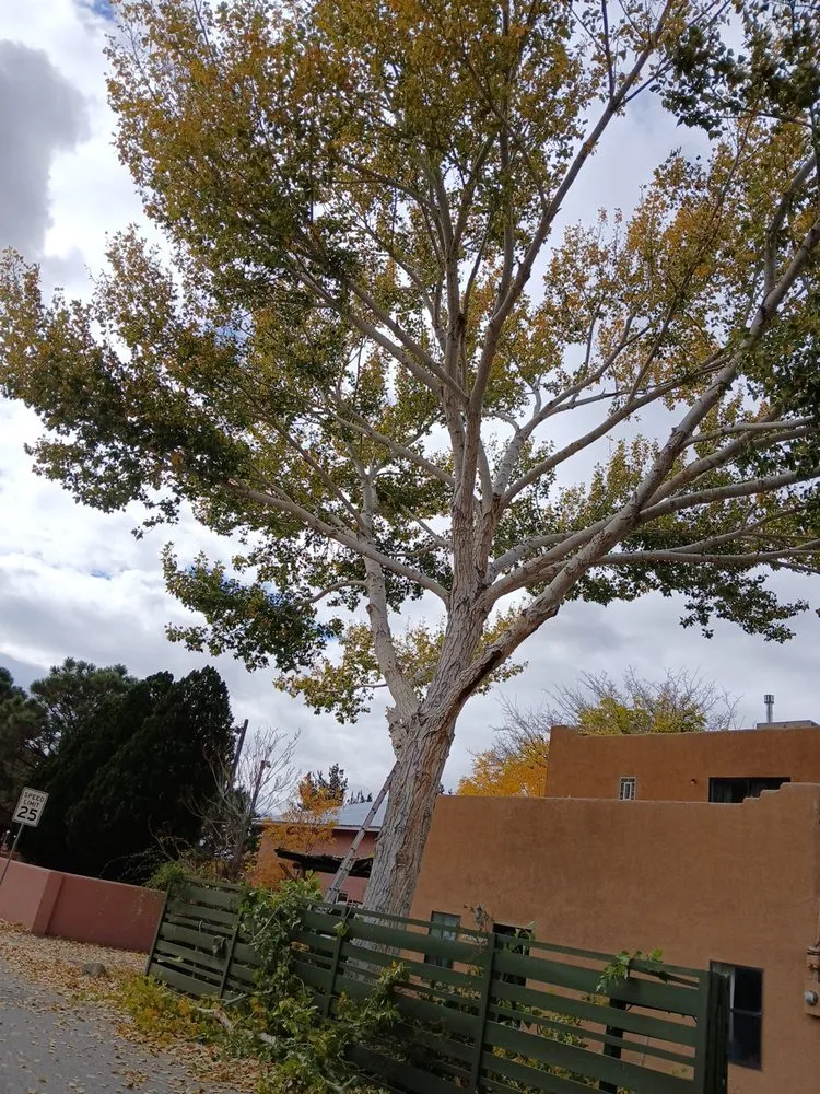Reliable residential landscaping for residential properties in Albuquerque, NM by Lliguin Landscaping