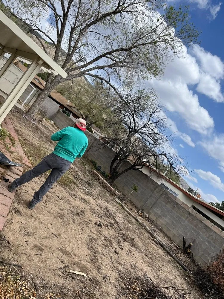 Expert landscaping services for homes in Albuquerque, NM by Lliguin Landscaping