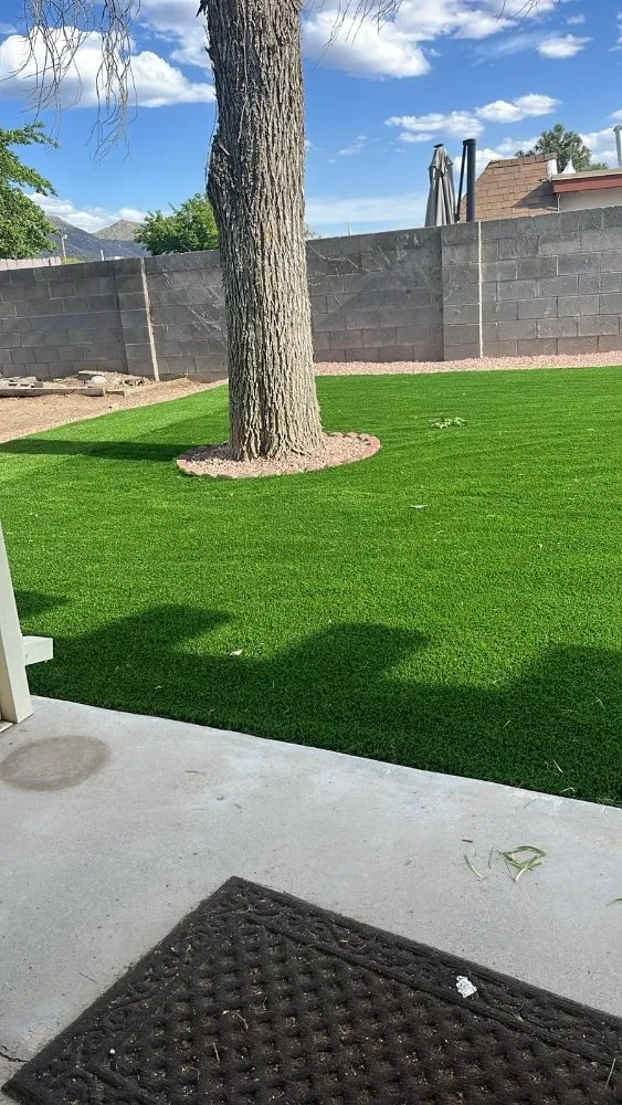Professional lawn care service in Albuquerque, NM - Lliguin Landscaping