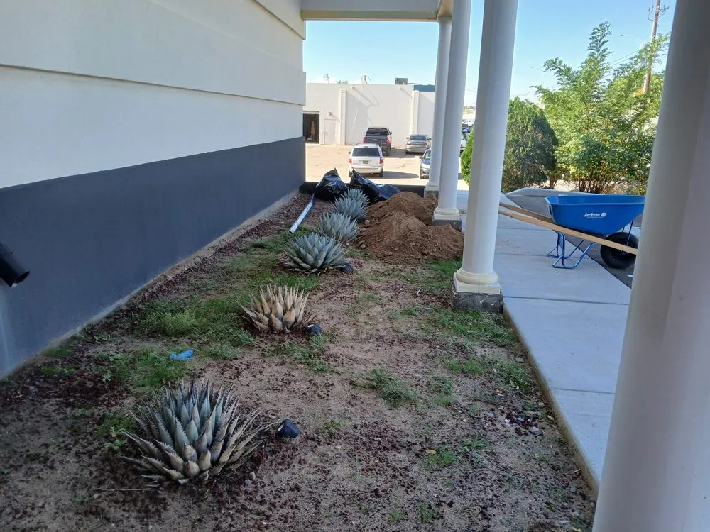 Expert landscape design for homes in Albuquerque, NM by Lliguin Landscaping