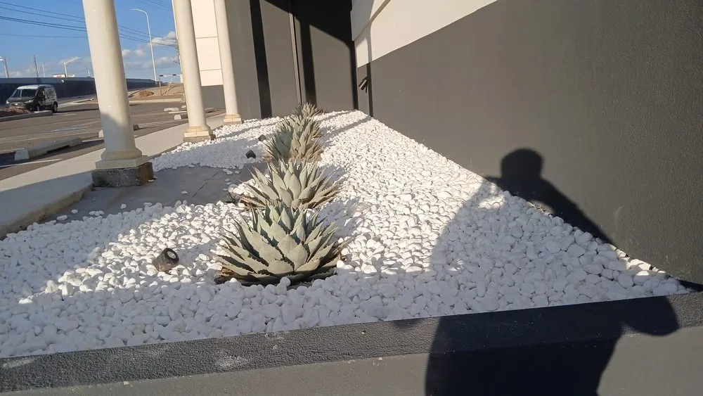 Top-rated landscape installation for beautiful yards in Albuquerque, NM by Lliguin Landscaping