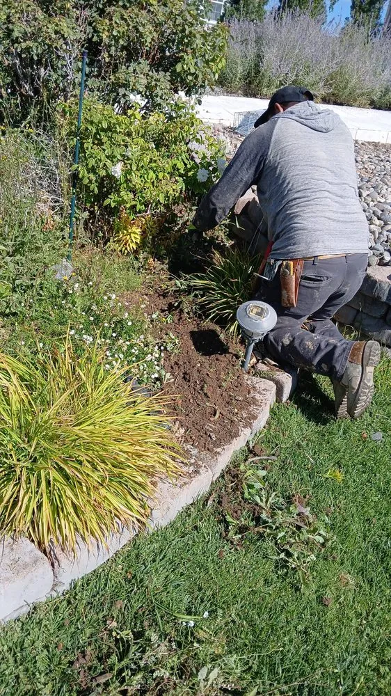 Top-rated lawn care service experts serving Albuquerque, NM - Lliguin Landscaping