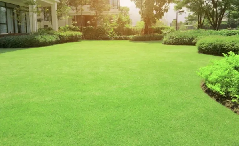 Trusted yard maintenance for year-round maintenance in Huntsville, AL by LL&L Lawn Care & Construction