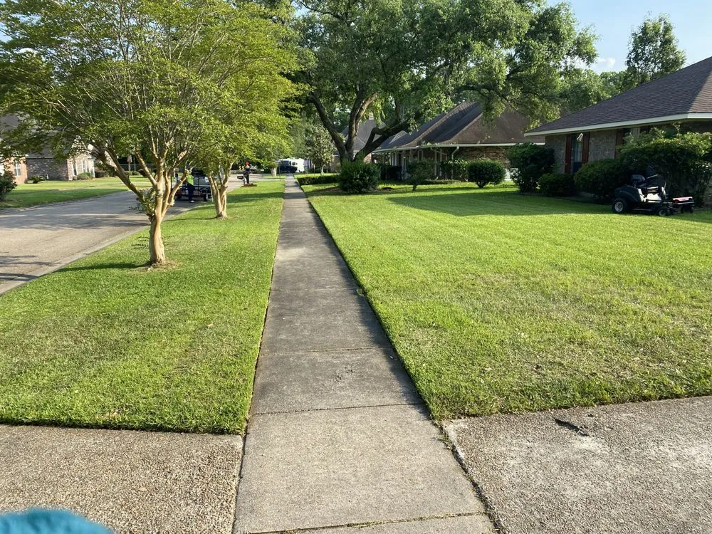 Reliable yard cleanup service with custom design across Baton Rouge, LA - LLMM Lawn Service