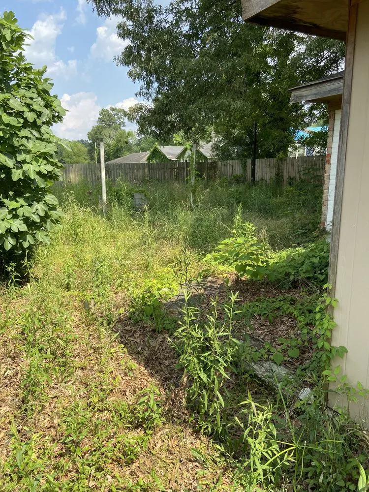 Trusted yard cleanup service experts serving Baton Rouge, LA - LLMM Lawn Service