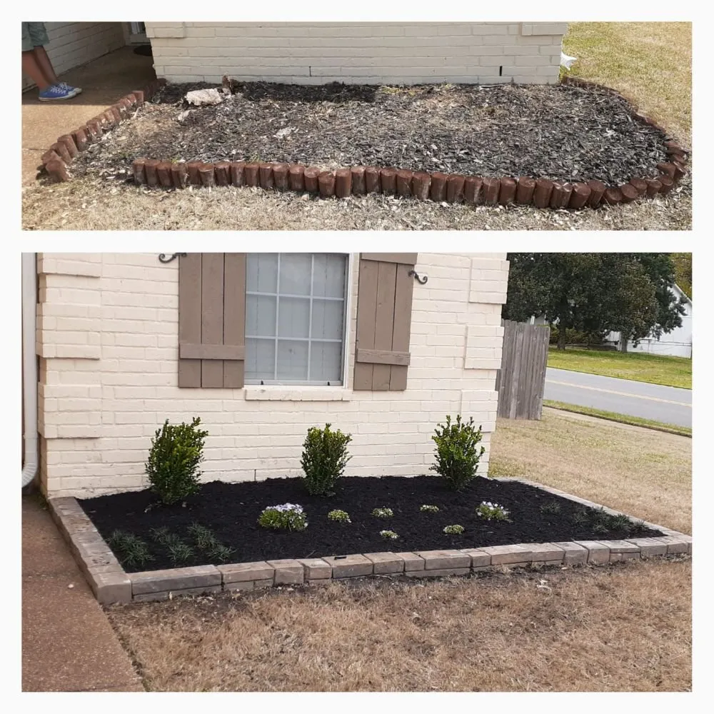 Professional yard maintenance for year-round maintenance in Cordova, TN by Llopez landscaping