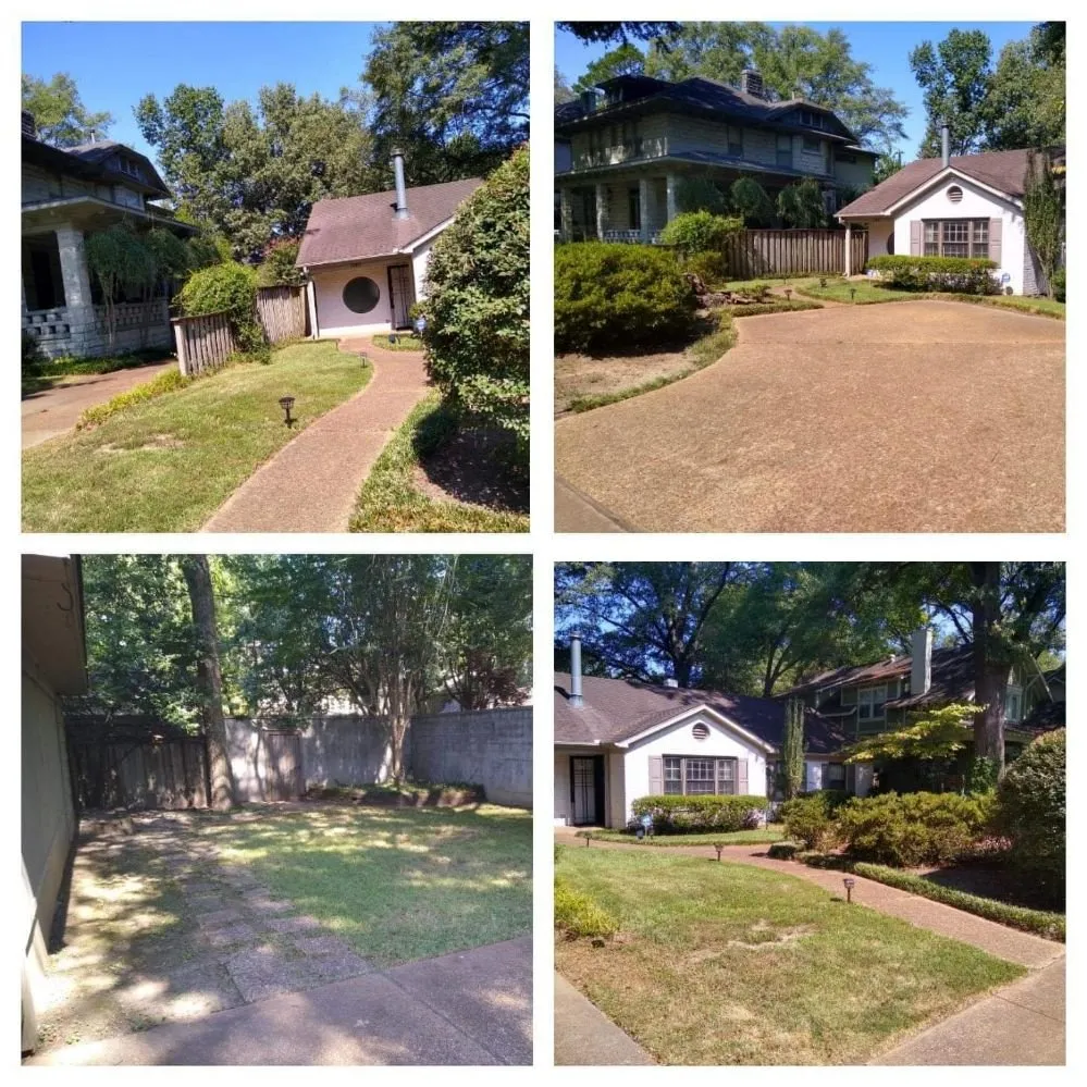 Affordable outdoor landscaping in Cordova, TN - Llopez landscaping