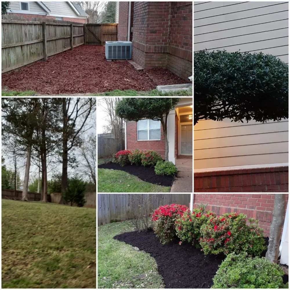 Expert garden landscaping in Cordova, TN - Llopez landscaping