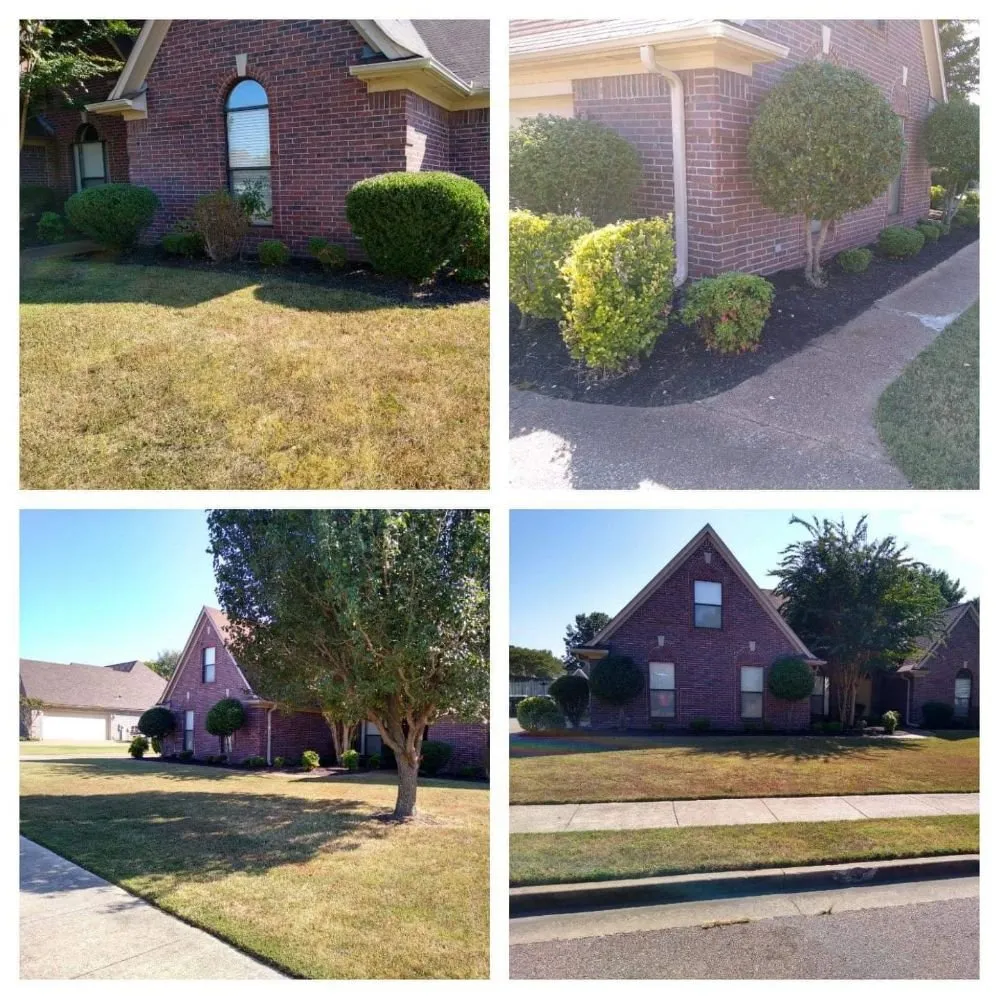 Expert yard maintenance in Cordova, TN - Llopez landscaping