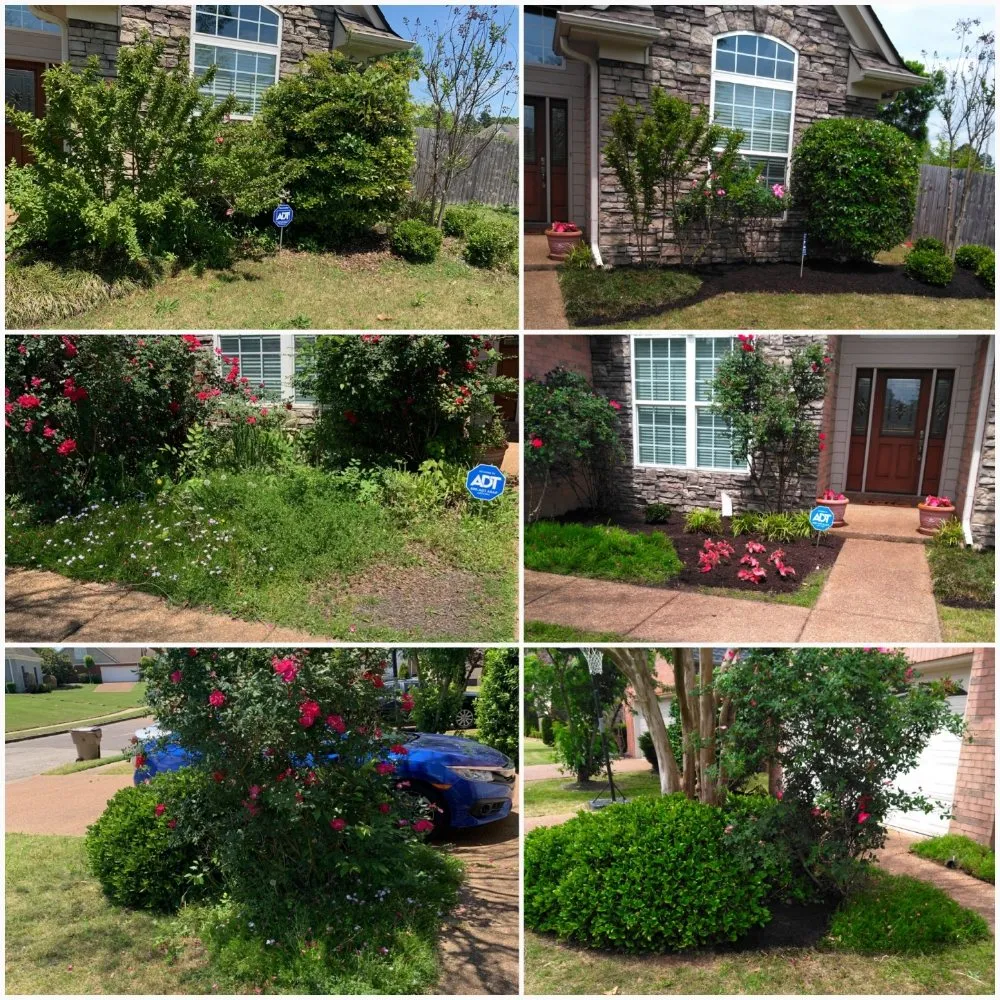 Trusted landscape installation for residential properties in Cordova, TN by Llopez landscaping
