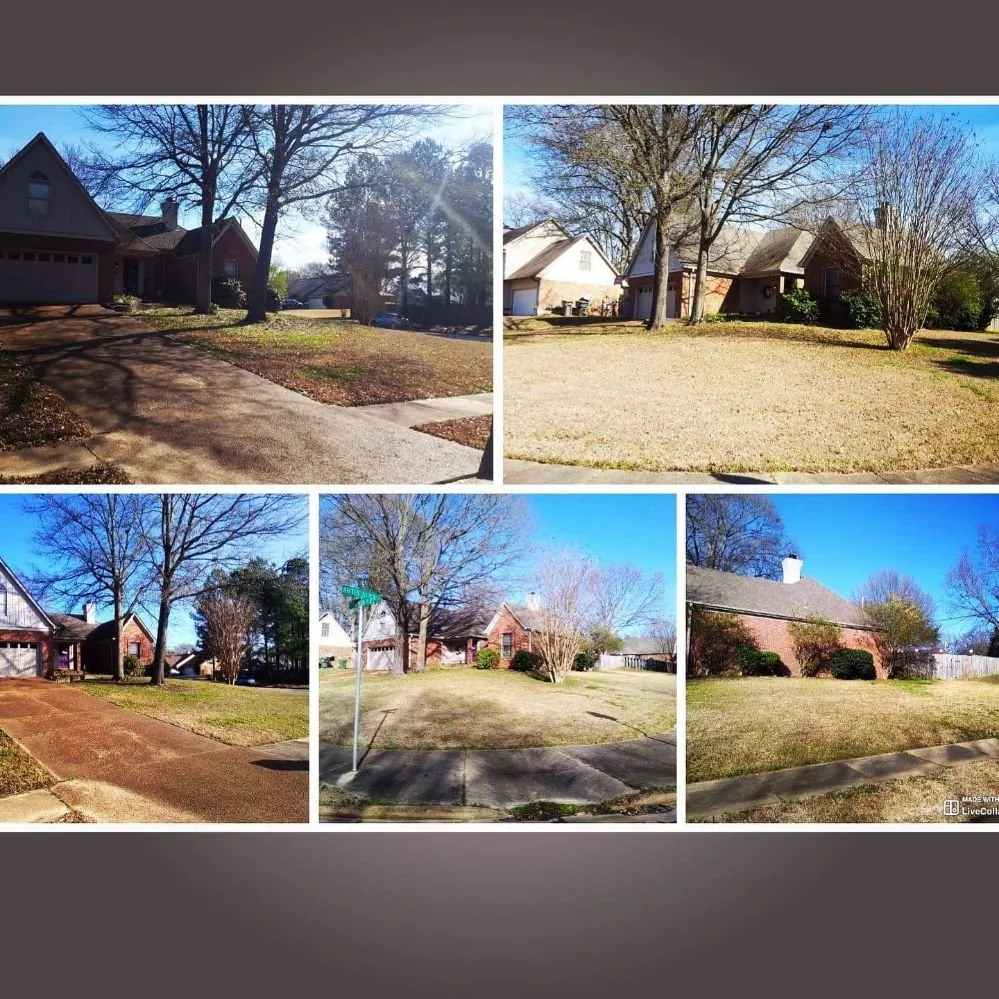 Expert yard cleanup service in Cordova, TN - Llopez landscaping
