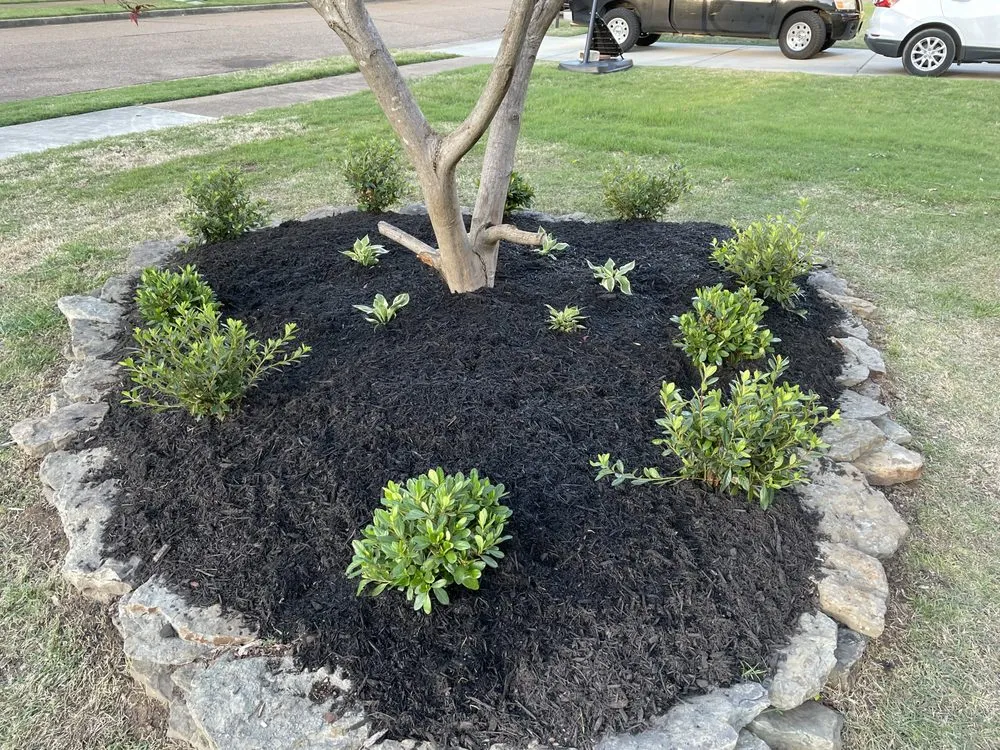 Top-rated lawn care service with custom design in Cordova, TN by Llopez landscaping