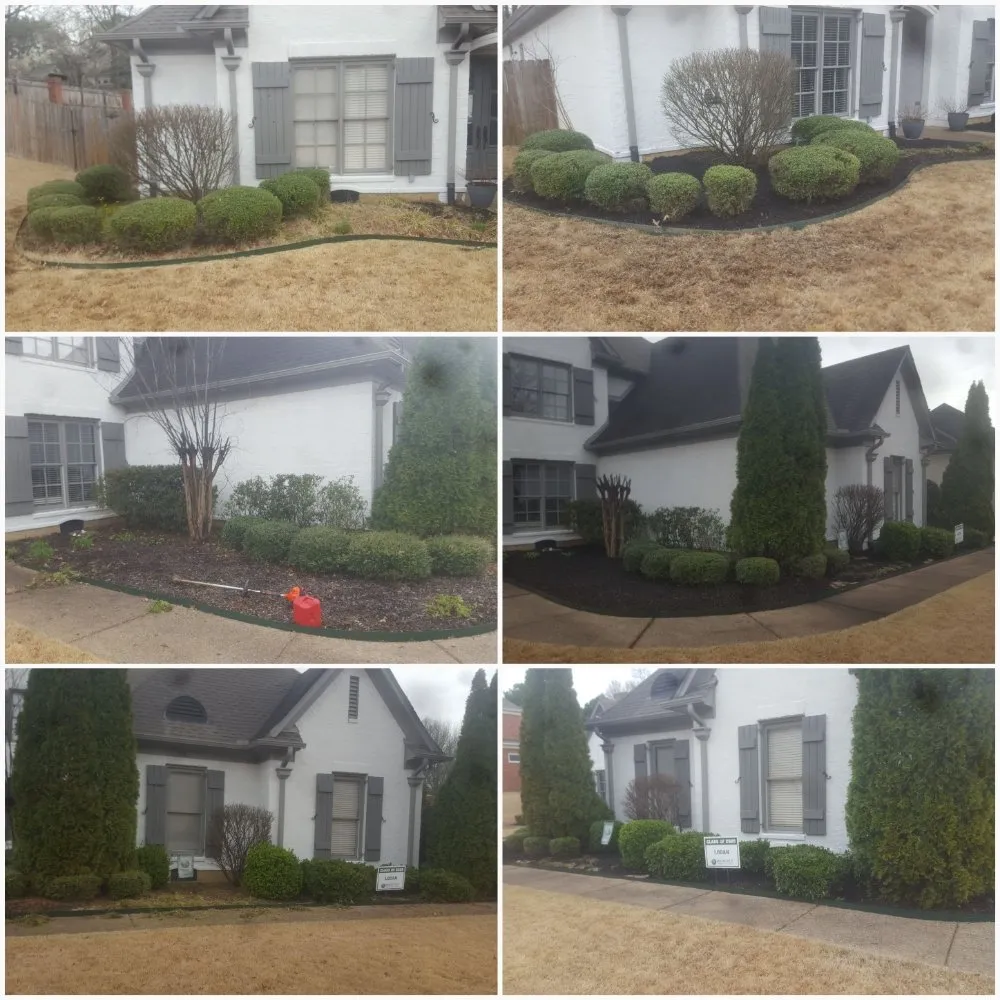 Top-rated landscaping services in Cordova, TN by Llopez landscaping