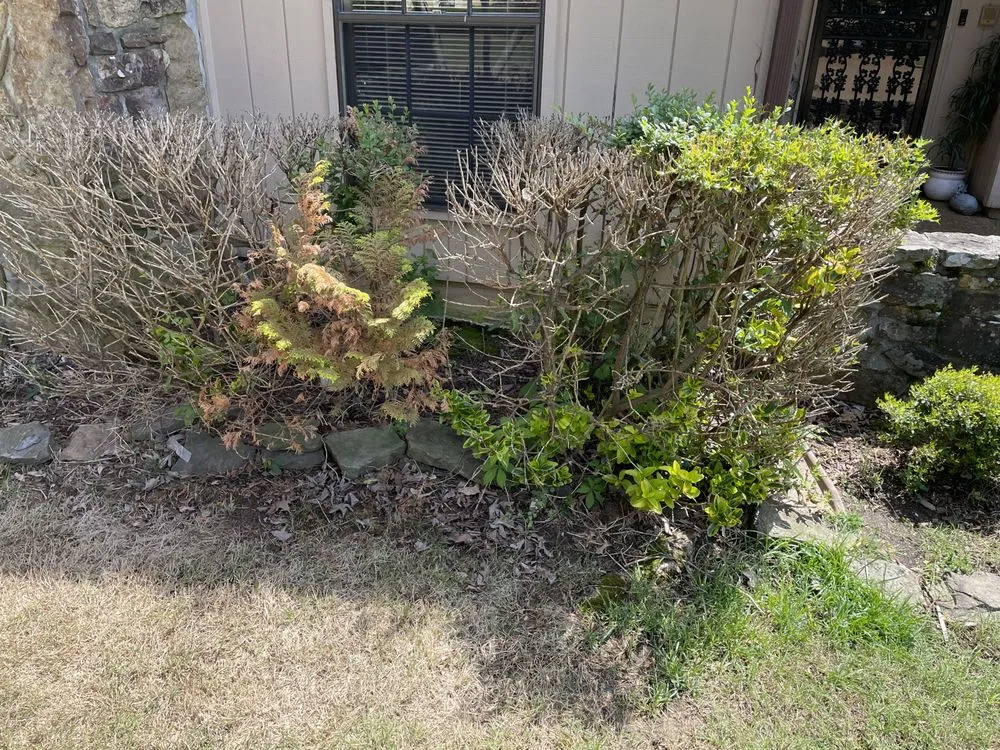 Professional residential landscaping experts serving Cordova, TN - Llopez landscaping