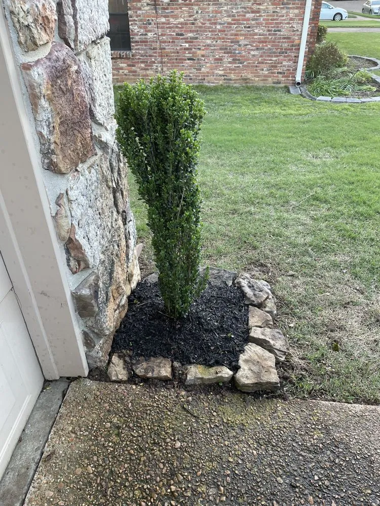 Trusted lawn mowing service in Cordova, TN by Llopez landscaping