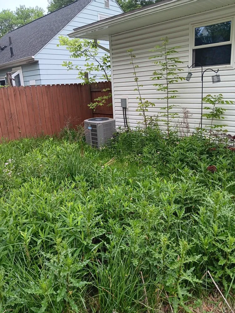 Custom lawn care service experts serving Akron, OH - lloyds landscaping