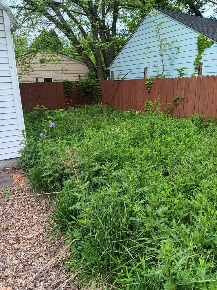 Professional landscape design for residential properties across Akron, OH - lloyds landscaping