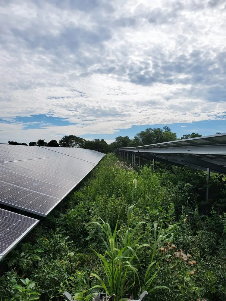 Top-rated lawn mowing service experts serving Carlisle, PA - Lloyds Landscaping