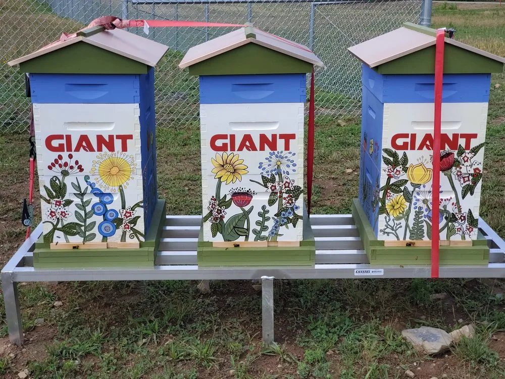 Local outdoor landscaping with custom design in Carlisle, PA by Lloyds Landscaping