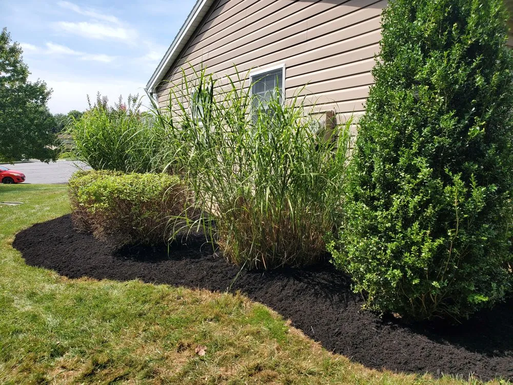 Reliable lawn care service for outdoor upgrades across Carlisle, PA - Lloyds Landscaping
