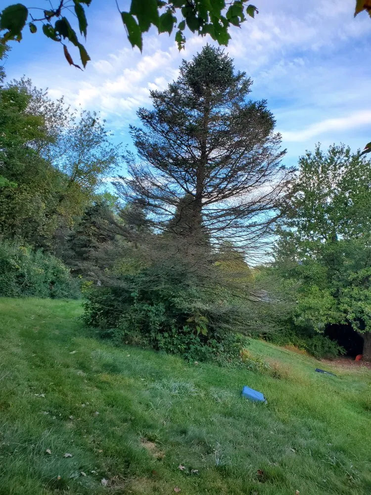 Top-rated outdoor landscaping for outdoor upgrades in Carlisle, PA by Lloyds Landscaping