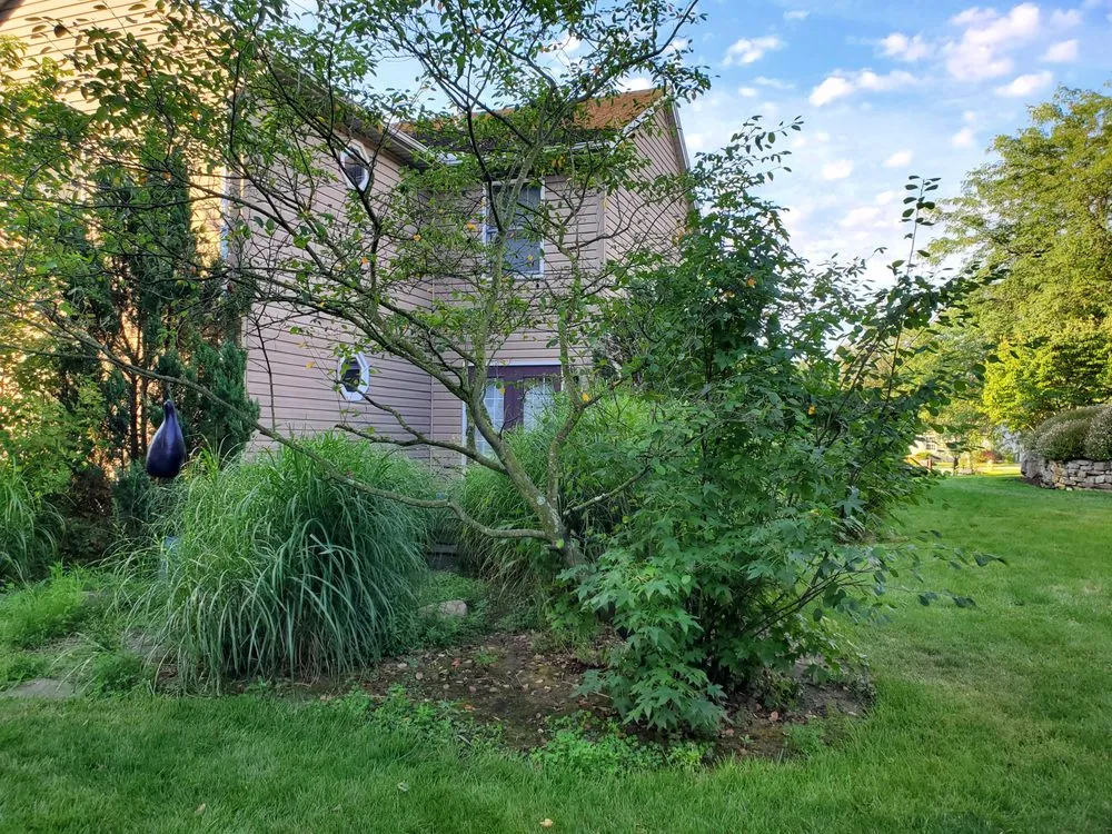 Expert landscape installation for homes in Carlisle, PA by Lloyds Landscaping