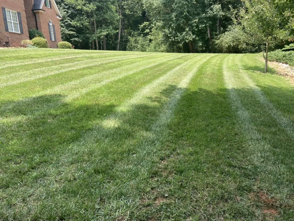 Affordable lawn care service in Lincolnton, NC - Lloyd’s Lawn & Home Services