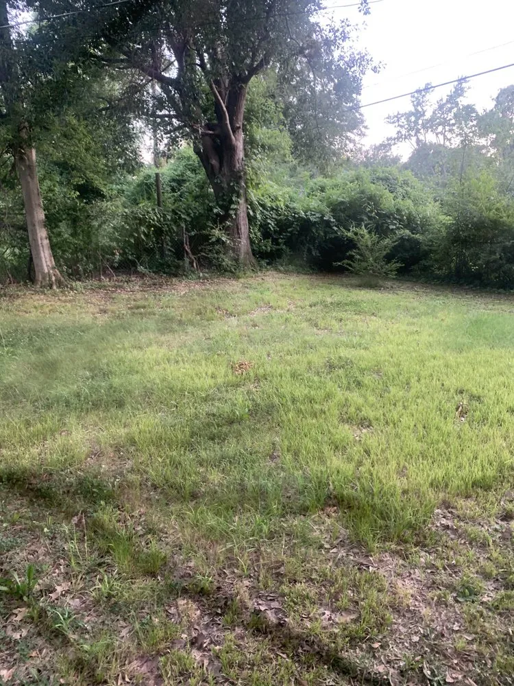 Expert landscape design in Arlington, TN - Lloyd’s Lawn Care Service