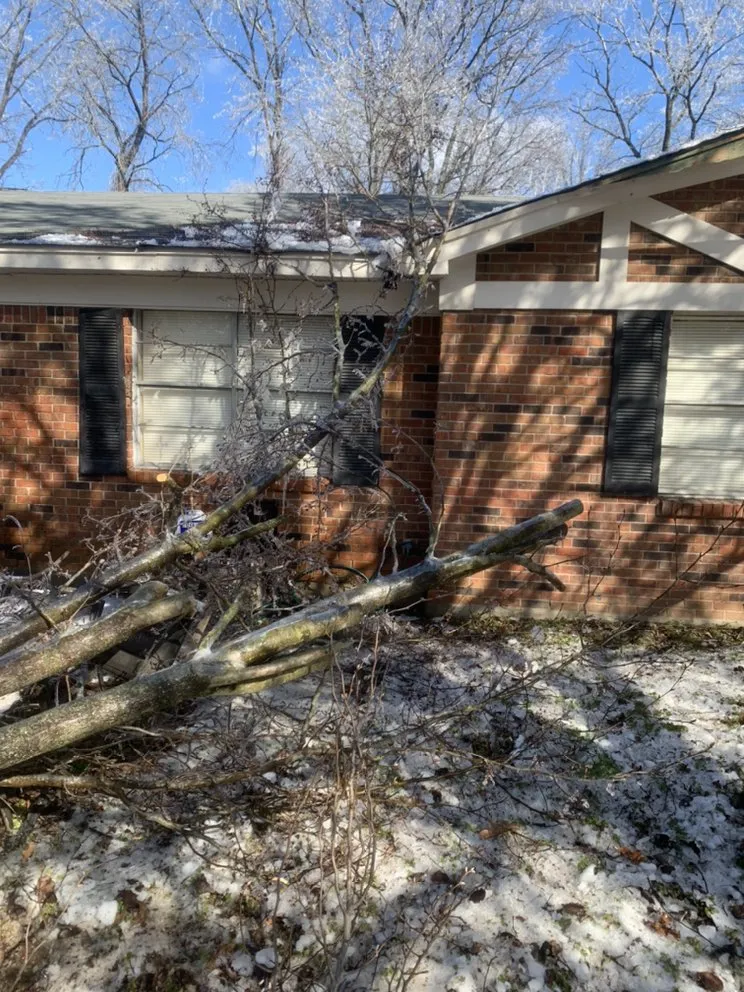 Trusted yard maintenance in Arlington, TN - Lloyd’s Lawn Care Service