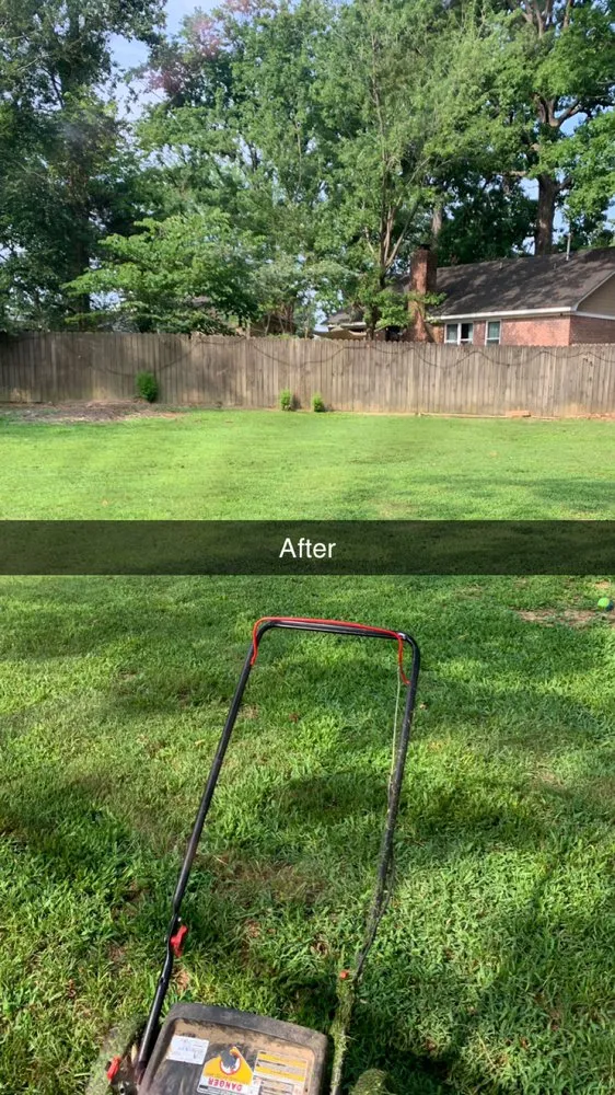 Expert yard maintenance in Arlington, TN by Lloyd’s Lawn Care Service