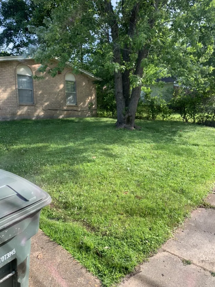 Professional lawn care service experts serving Arlington, TN - Lloyd’s Lawn Care Service