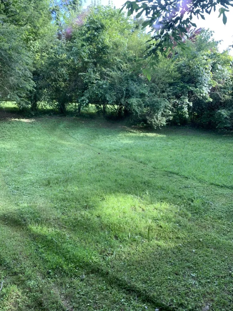 Expert outdoor landscaping in Arlington, TN by Lloyd’s Lawn Care Service