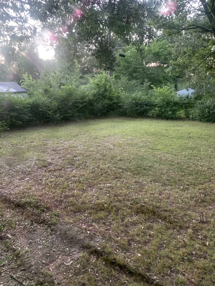 Top-rated yard cleanup service experts serving Arlington, TN - Lloyd’s Lawn Care Service