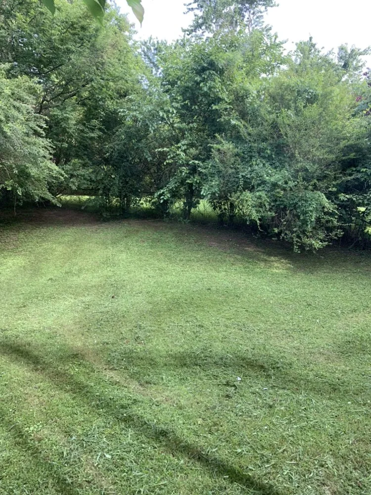 Custom landscaping services in Arlington, TN - Lloyd’s Lawn Care Service