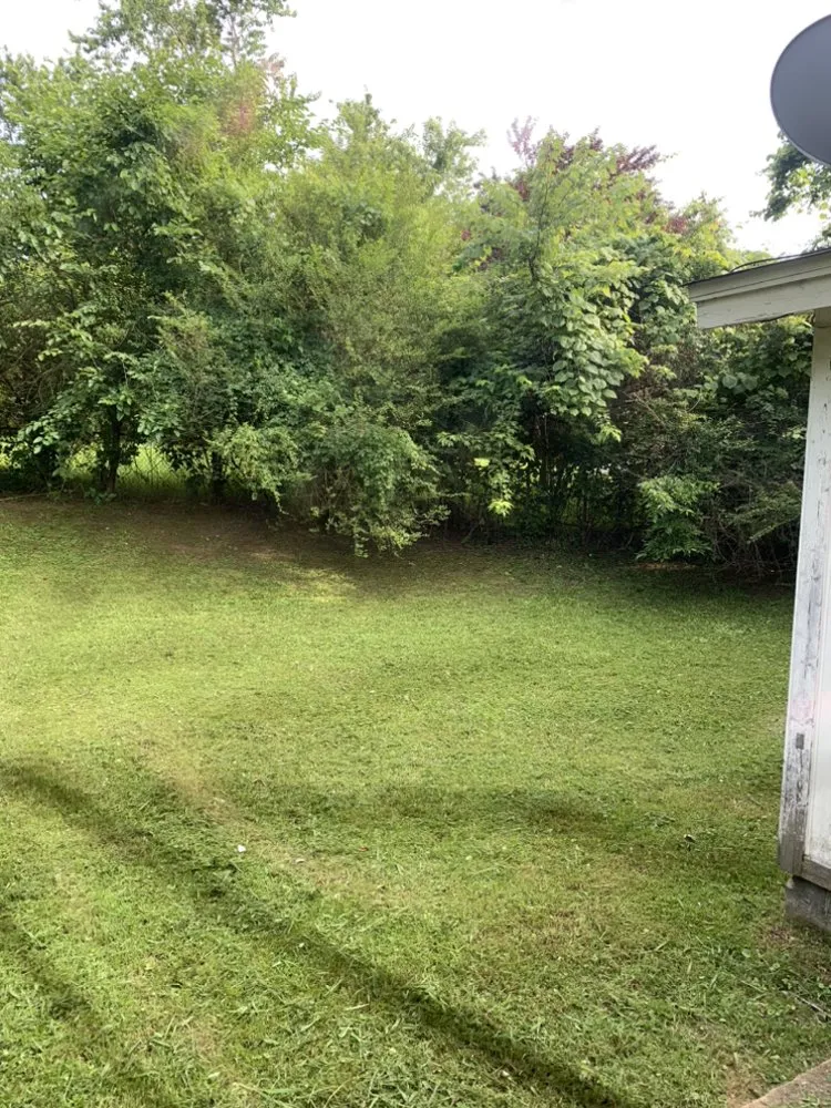 Expert residential landscaping near you across Arlington, TN - Lloyd’s Lawn Care Service