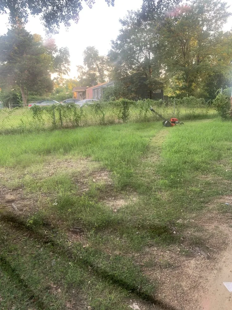 Expert landscape installation in Arlington, TN by Lloyd’s Lawn Care Service