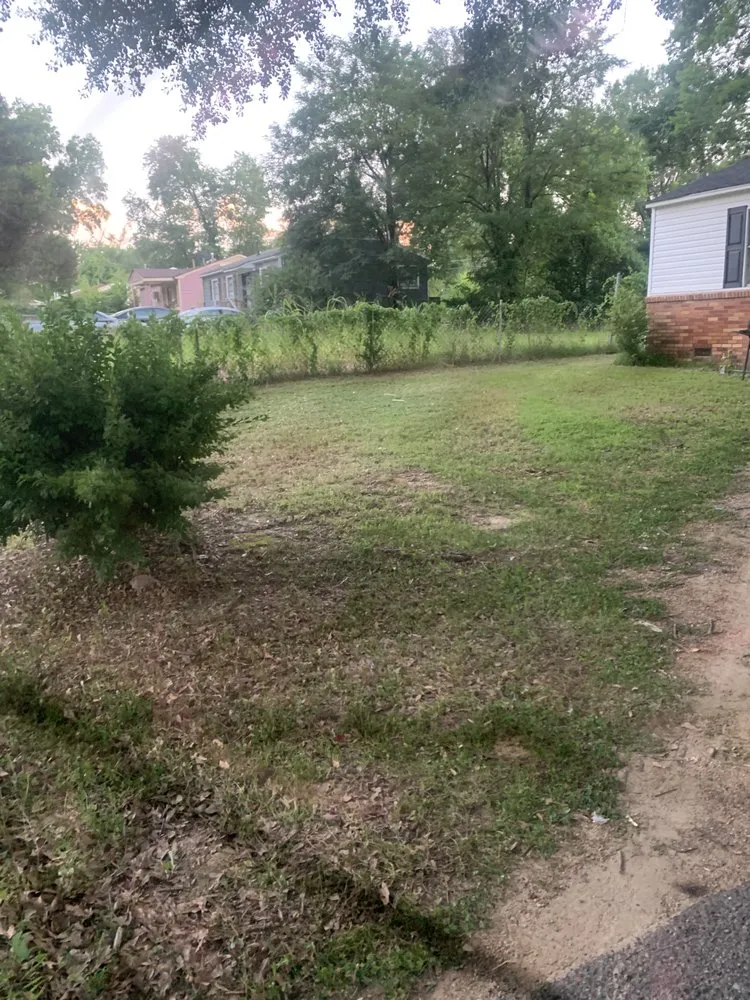 Professional yard cleanup service with custom design across Arlington, TN - Lloyd’s Lawn Care Service