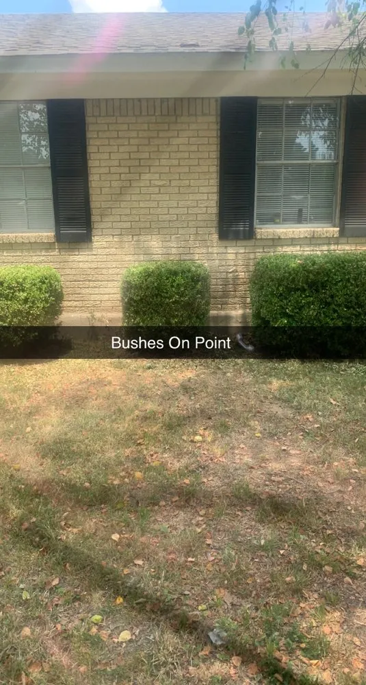 Reliable yard cleanup service in Arlington, TN - Lloyd’s Lawn Care Service