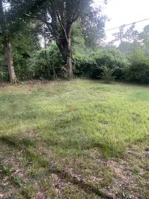 Lloyd’s Lawn Care Service