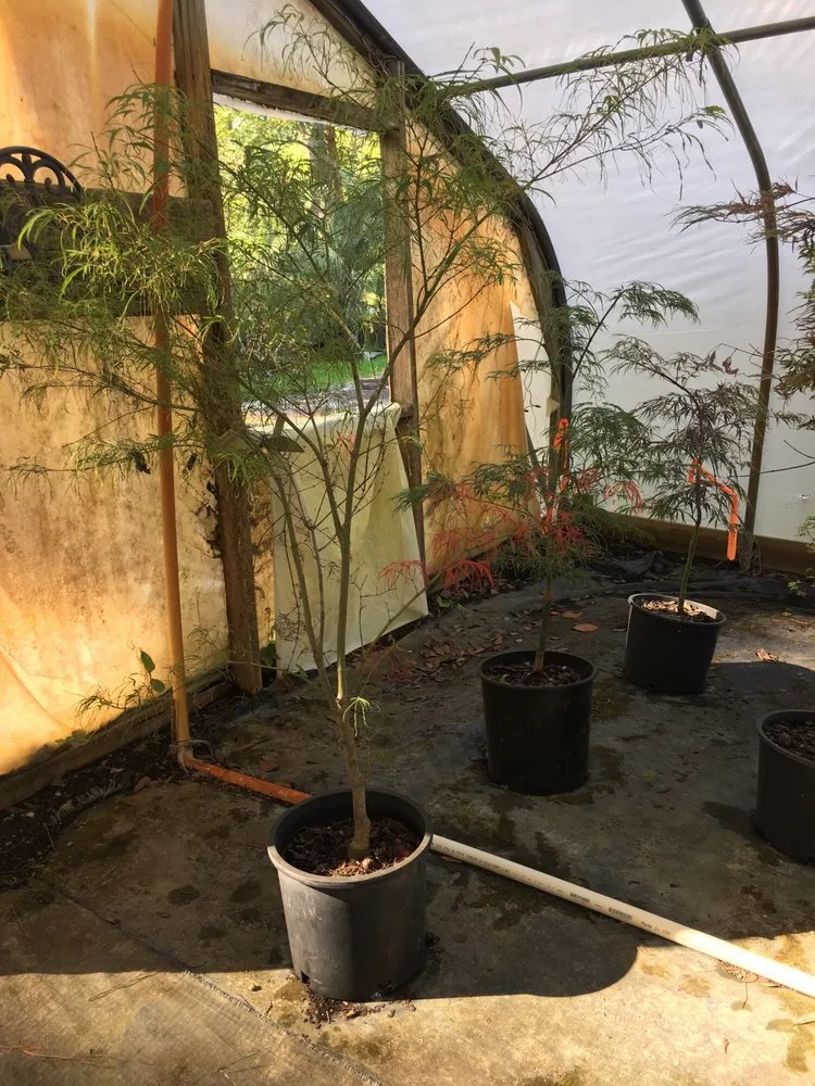 Professional lawn mowing service in Wilmington, NC by Lloyd's of Landscape