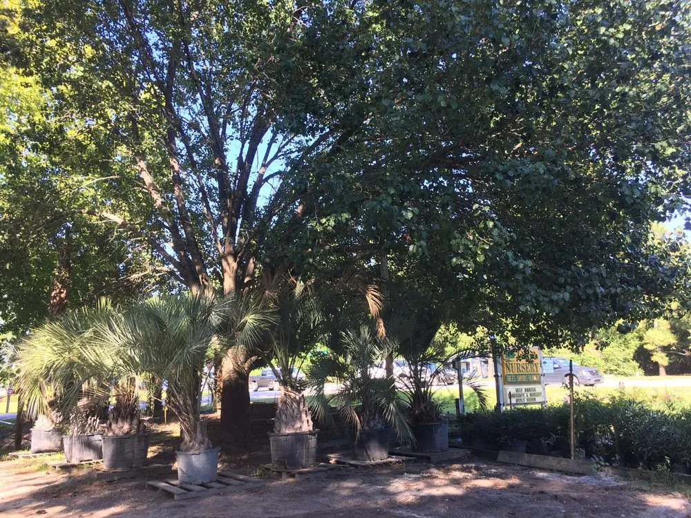 Affordable landscape installation experts serving Wilmington, NC - Lloyd's of Landscape