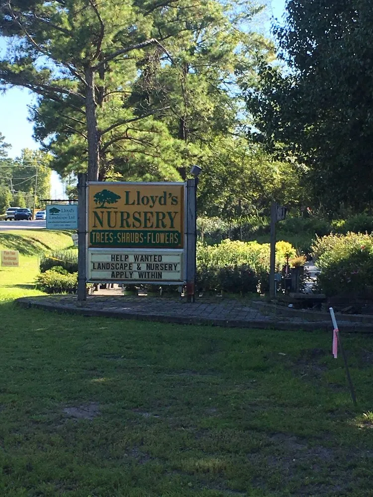 Top-rated lawn mowing service in Wilmington, NC by Lloyd's of Landscape