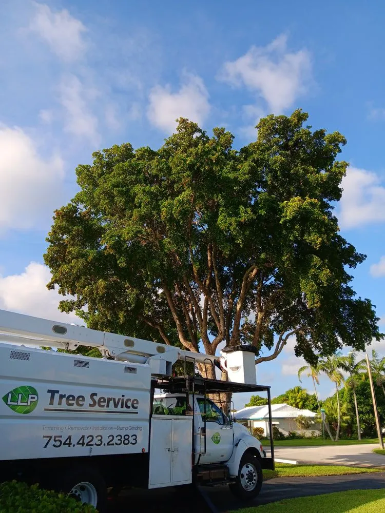 Top-rated lawn mowing service experts serving Boca Raton, FL - LLP Tree Service