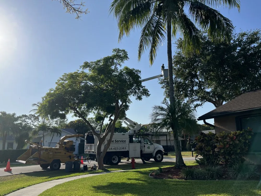 Trusted yard maintenance with custom design in Boca Raton, FL by LLP Tree Service