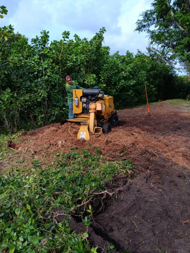 Professional landscape installation experts serving Boca Raton, FL - LLP Tree Service