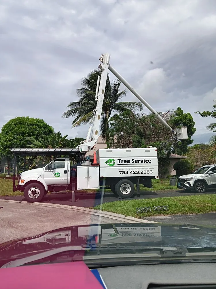 Expert lawn care service for residential properties across Boca Raton, FL - LLP Tree Service